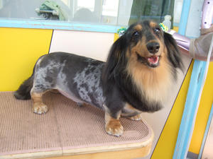 DSCF1278.JPG