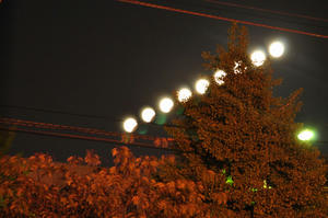 DSC_7190-6.jpg
