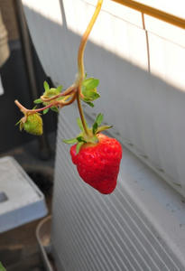 DSC_7175.jpg