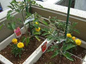 DSCF1261.jpg