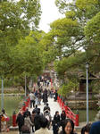 DSCN1727.JPG