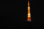 DSC_1079.JPG