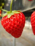 DSCN1924_s.JPG