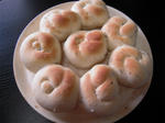 DSCN3872.jpg