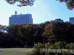 NEC_1180.JPG