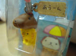 DSCN4141.JPG