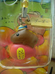 DSCN4145.JPG