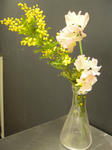 DSCN4194.JPG