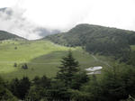 P8220142.JPG