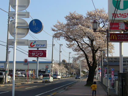 P1030818-1.jpg