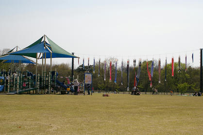 IMGP7335-1.jpg