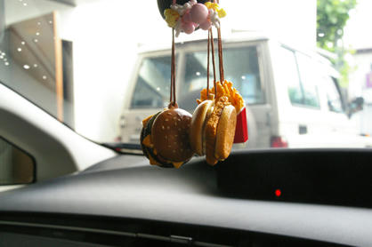 IMGP8100-1.jpg