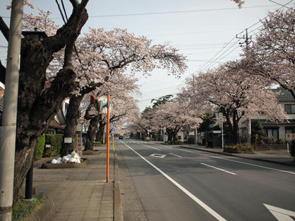 P4110949-2.jpg