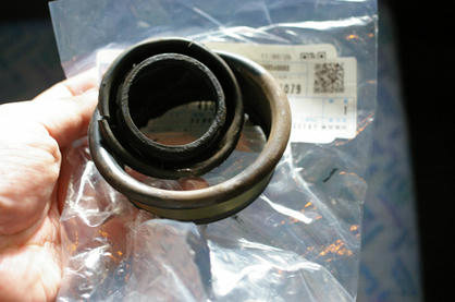 IMGP9089-1.jpg