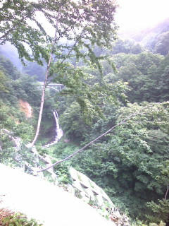 20080705125227.jpg
