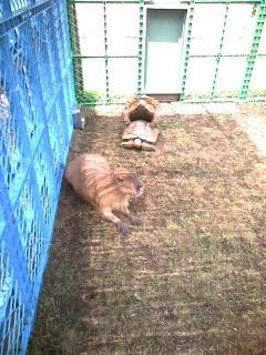 20080720123146.jpg