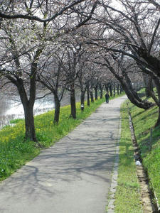 IMGP0043.JPG