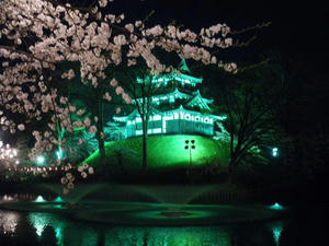 IMGP0054.JPG