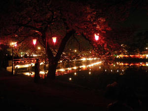 IMGP0064.JPG