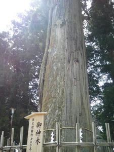 IMGP0081.JPG