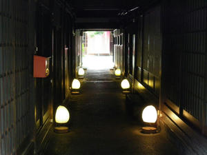 IMGP0261.JPG