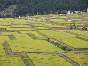 nozawa8.JPG