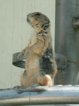 DSCF0009.JPG