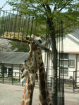 DSCF0010.JPG