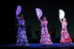 511_IMGP4114.JPG