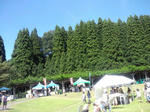 HI3H0176.jpg