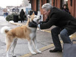 hachi.jpg