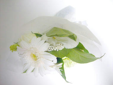 おみやげのお花♪