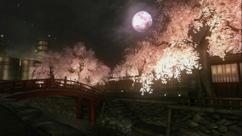 夜桜