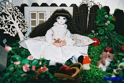 dolloff001.JPG