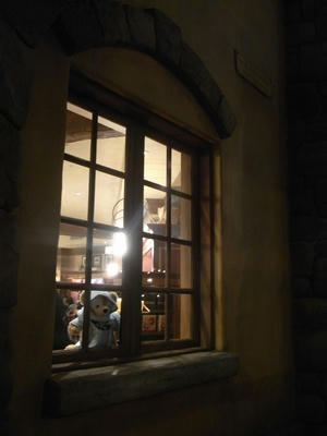ds019.jpg