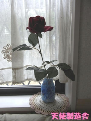 12051401.jpg