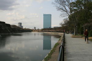 080330sakura1.jpg