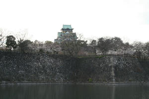 080330sakura2.jpg