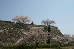 080406sasa02.jpg