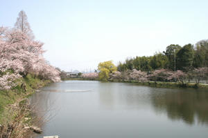 080406sasa03.jpg