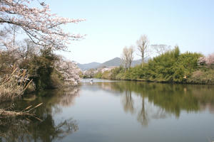 080406sasa05.jpg