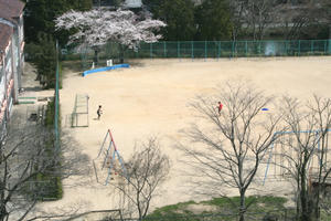 080406sasa06.jpg