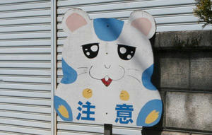 080406sasa08.jpg