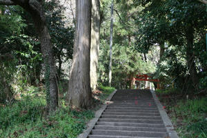 080406sasa10.jpg