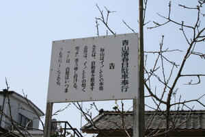 080406sasa13.jpg
