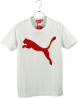 080513puma.jpg