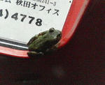 200709112027002.jpg