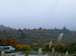 DSCF0952.jpg