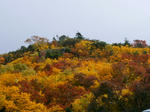 DSCF0946.jpg
