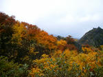 DSCF0949.jpg